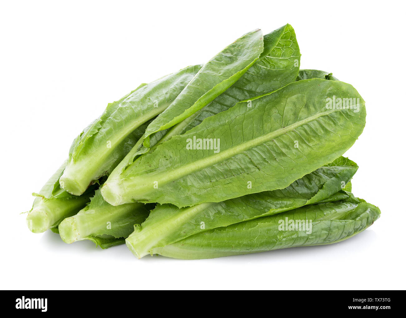 fresh cos lettuce isolated on white background Stock Photo - Alamy
