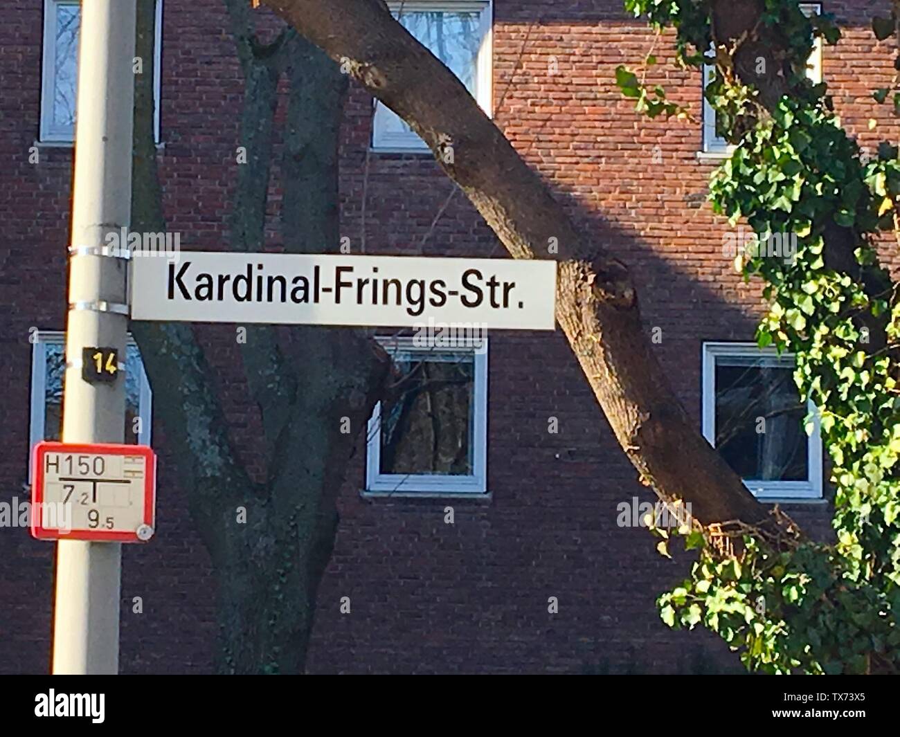 Frings Stock Photos Frings Stock Images Alamy