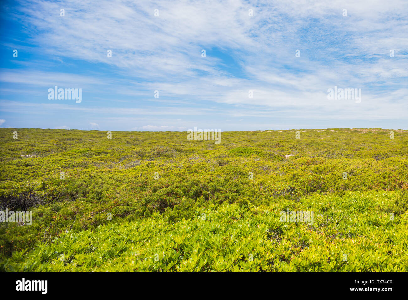Field on a summer day with blue sky. Portuguese landscape Stock Photo