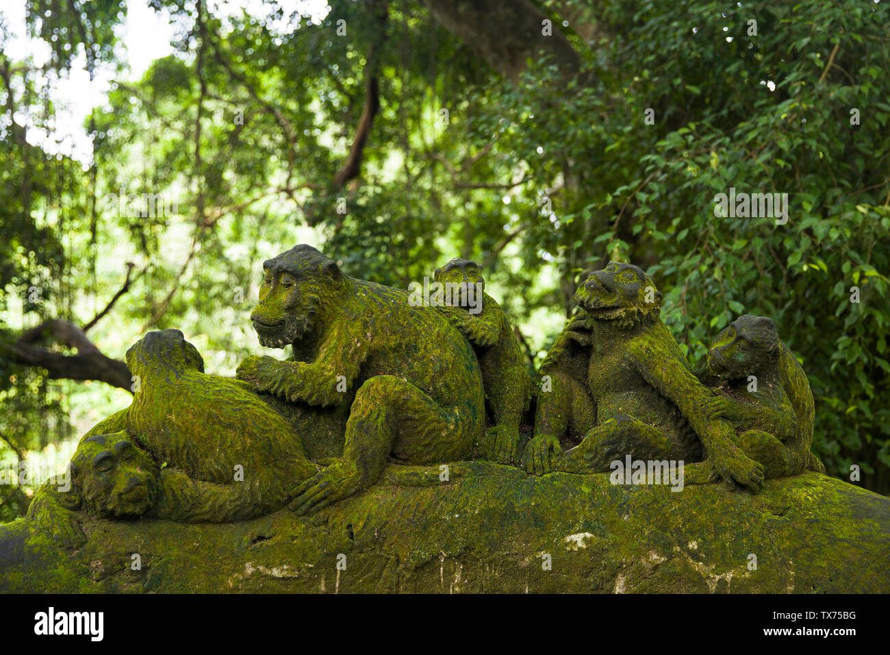 Monkey statue at Ubud Monkey Forest sanctuary at Bali island, Indonesia