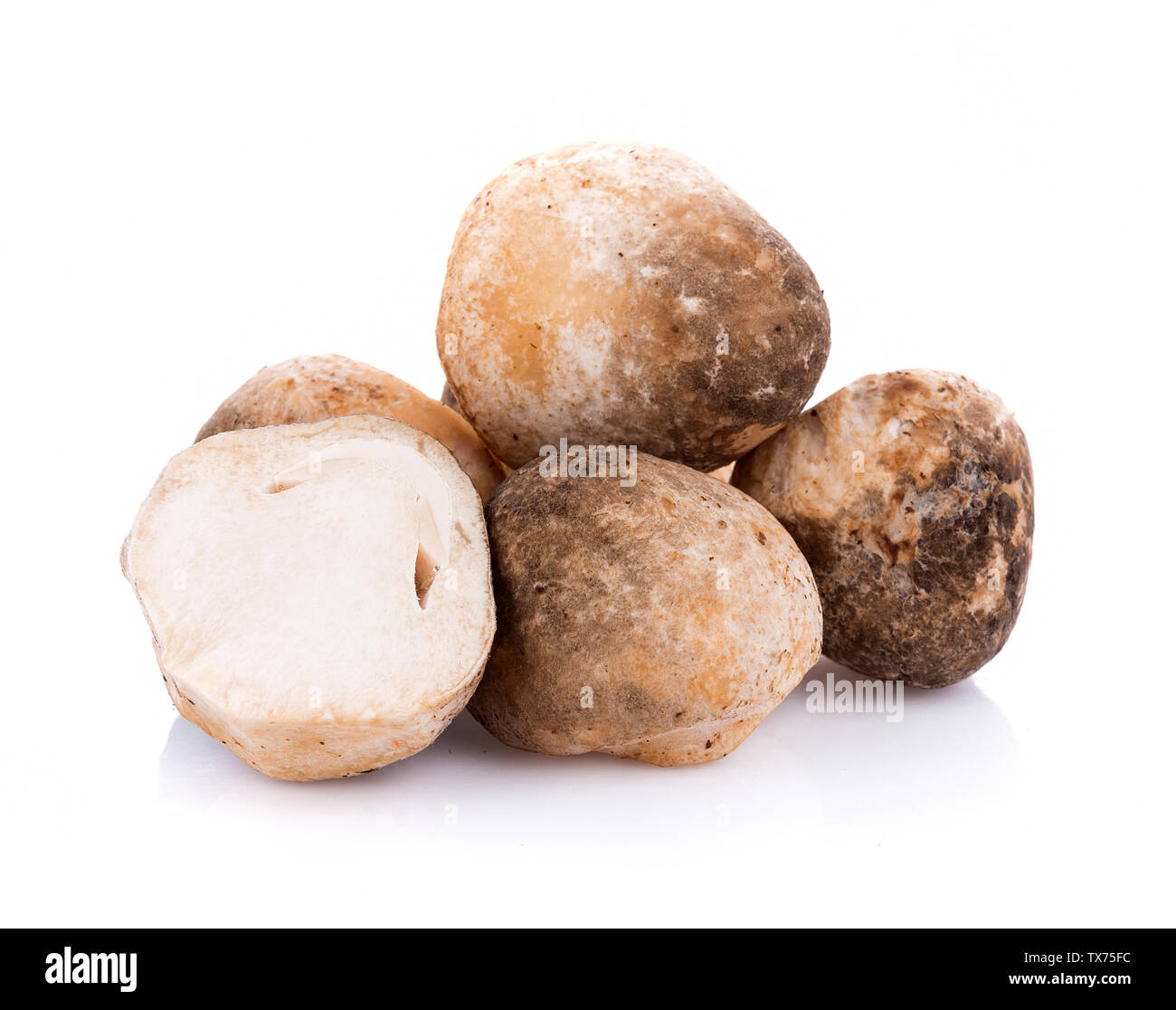 Straw mushrooms isolated on white background Stock Photo - Alamy