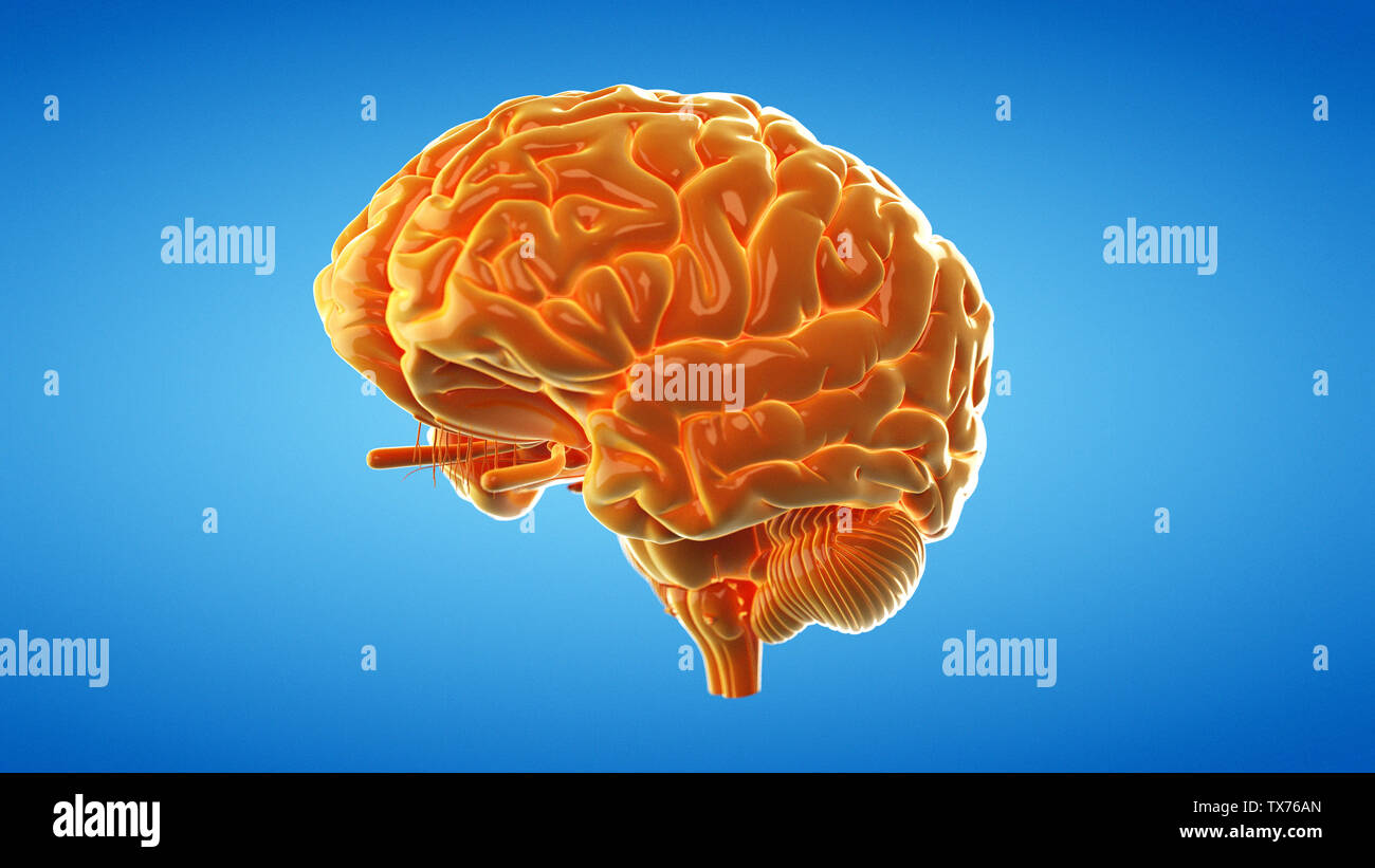3d rendered medically accurate illustration of an abstract orange brain ...