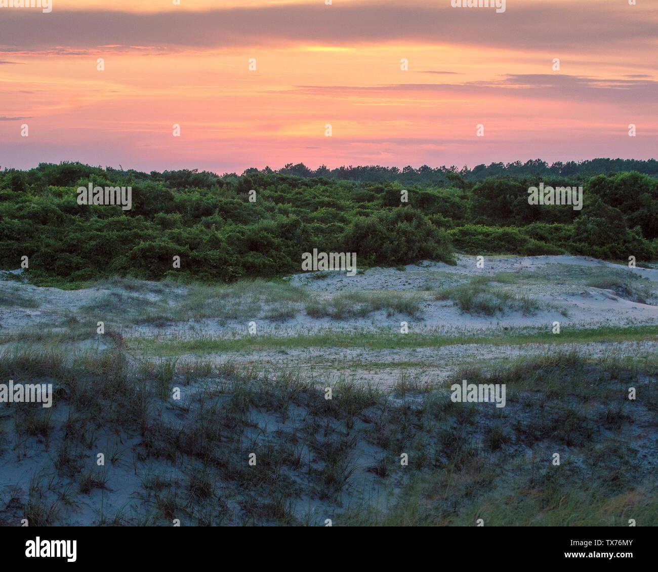 North Carolina Dunes Sunset - Just after sunset on Carova Beach North Carolina. Looking towards the sound. Dunes, trees, and sand. Stock Photo