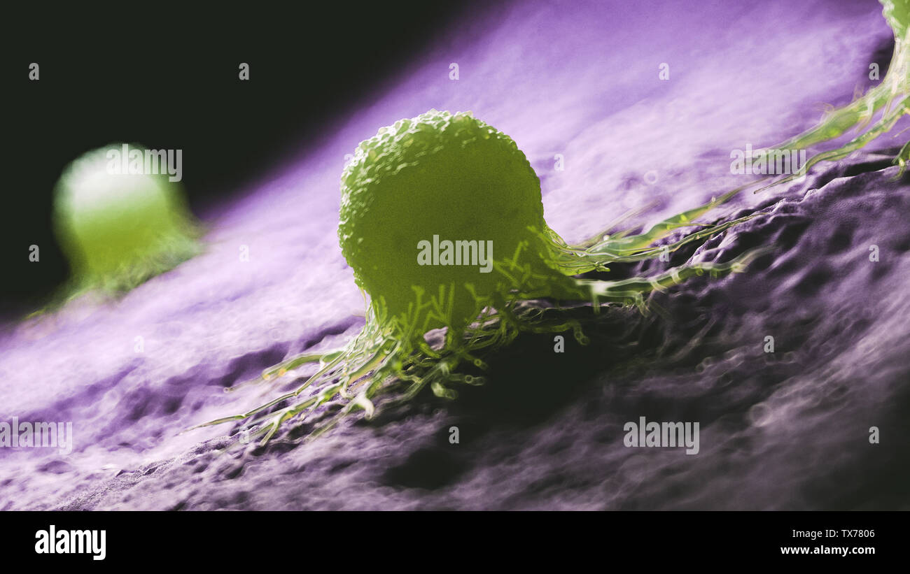 3d rendered medically accurate illustration of a cancer cell Stock ...