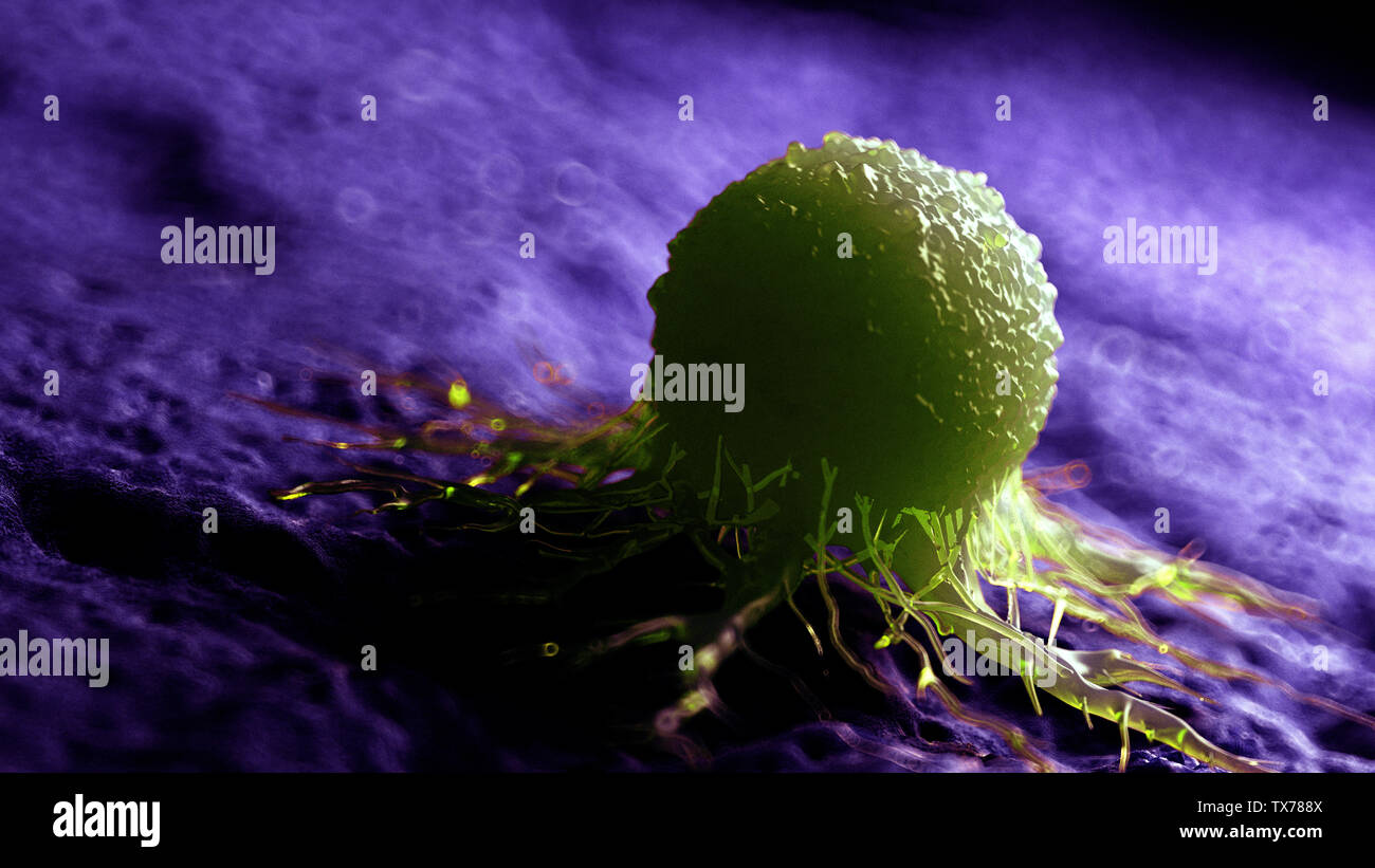 3d rendered medically accurate illustration of a cancer cell Stock ...