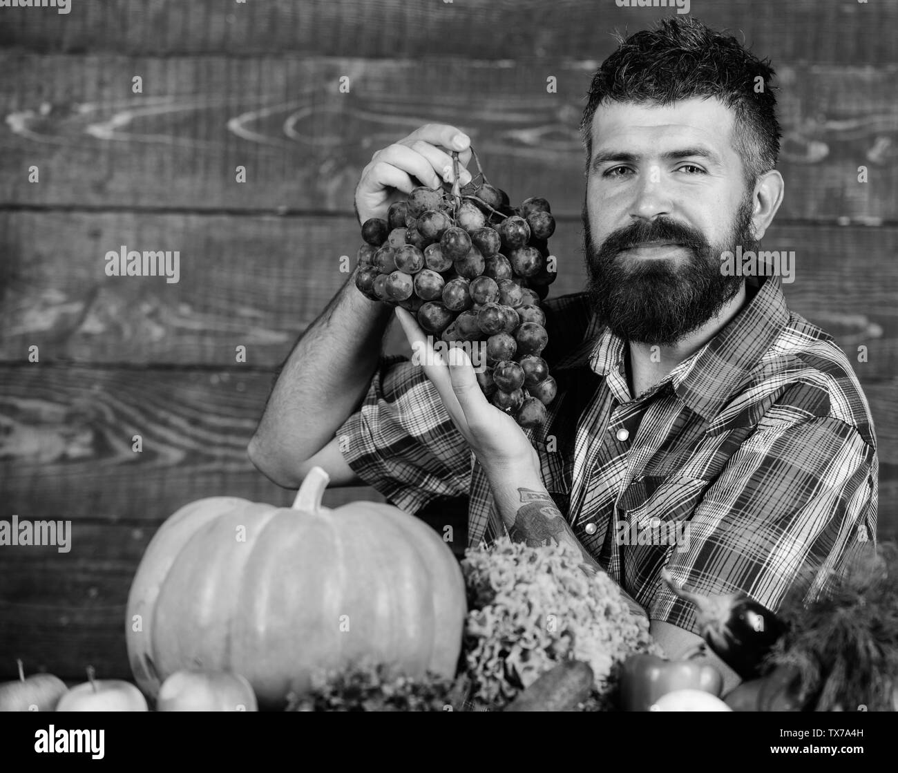 Vegetables organic harvest. Farmer proud of harvest vegetables and