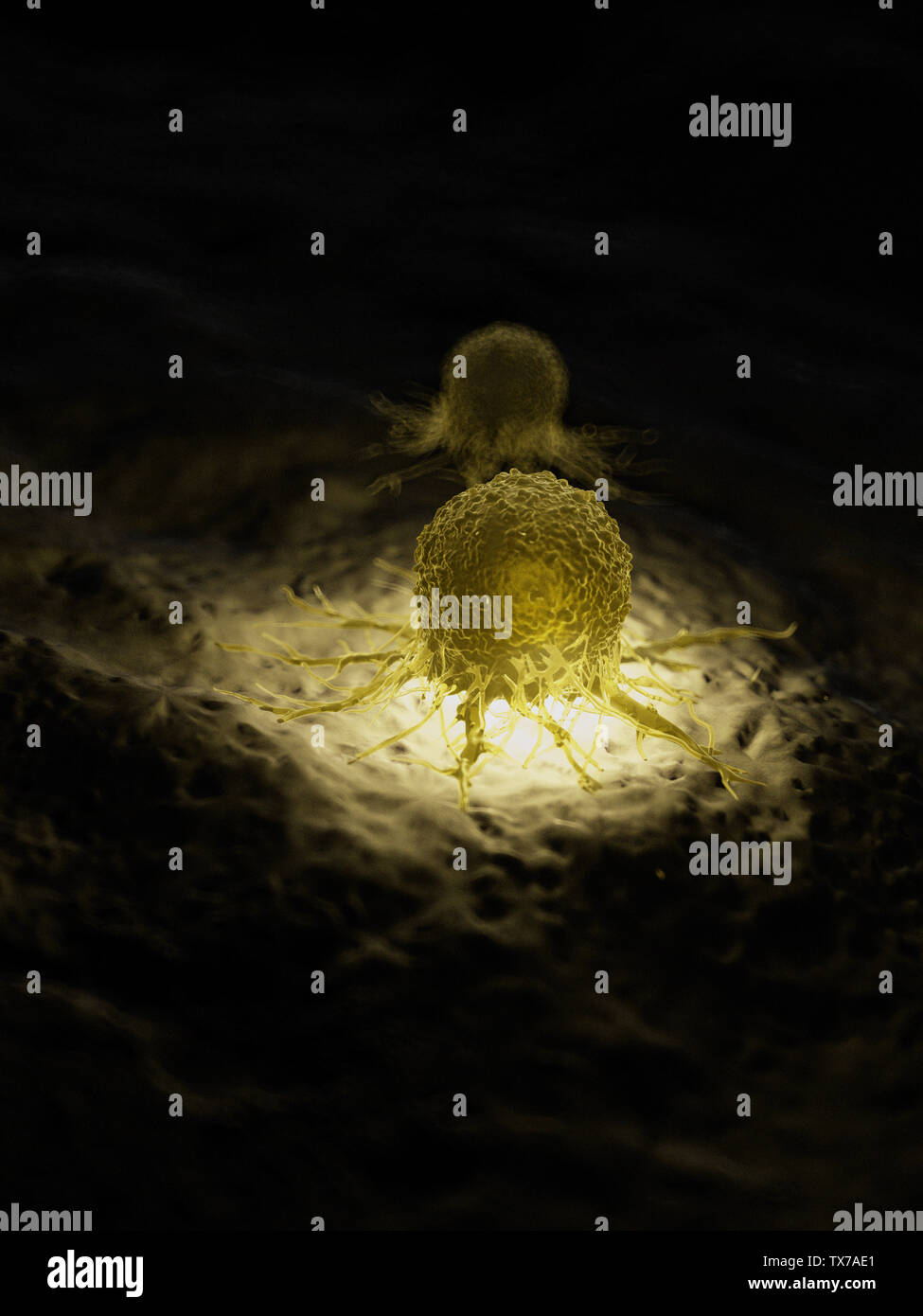 3d rendered medically accurate illustration of a cancer cell Stock ...