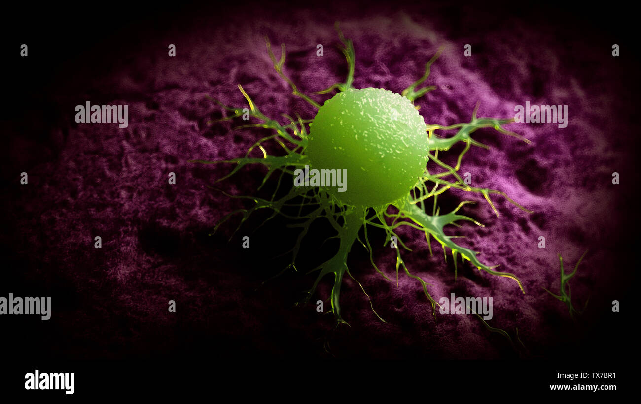 3d rendered medically accurate illustration of a cancer cell Stock ...