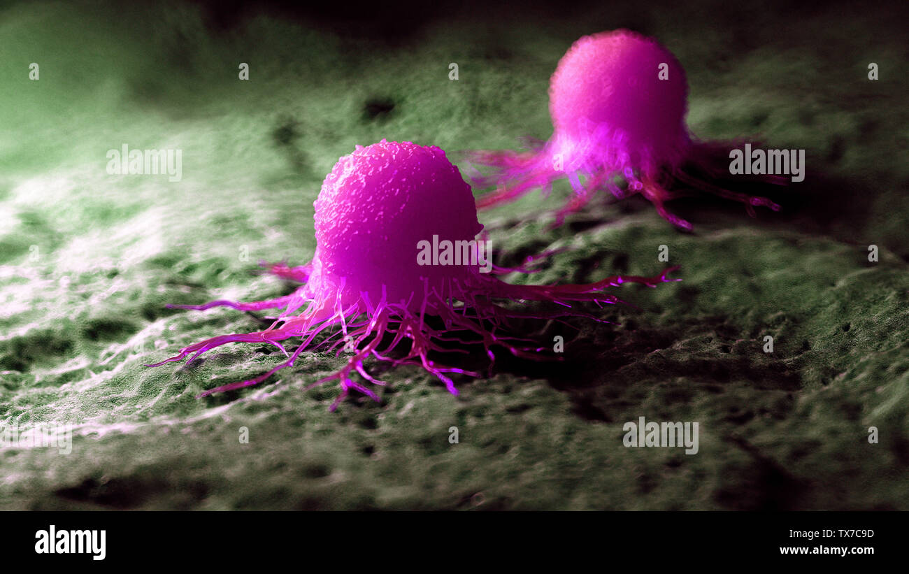 3d rendered medically accurate illustration of a cancer cell Stock ...