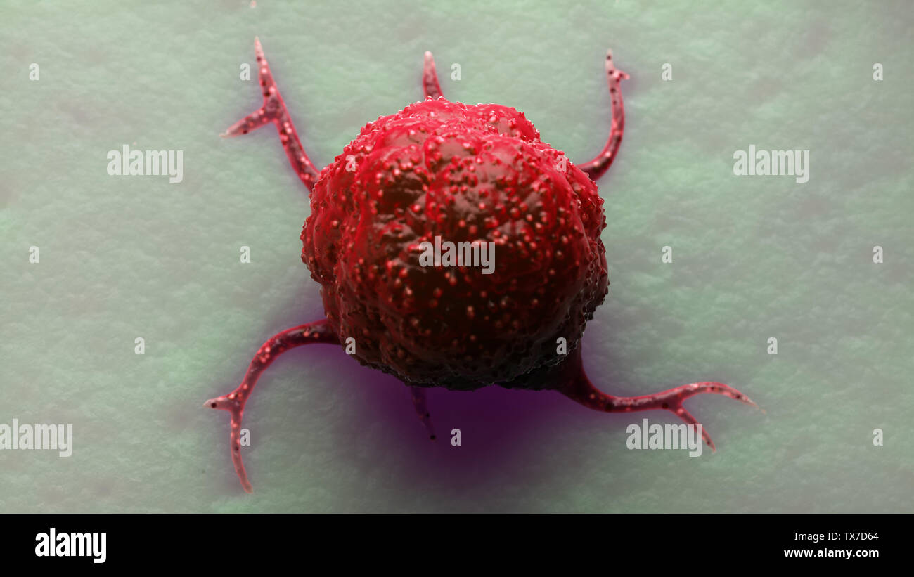3d rendered medically accurate illustration of a cancer cell Stock ...