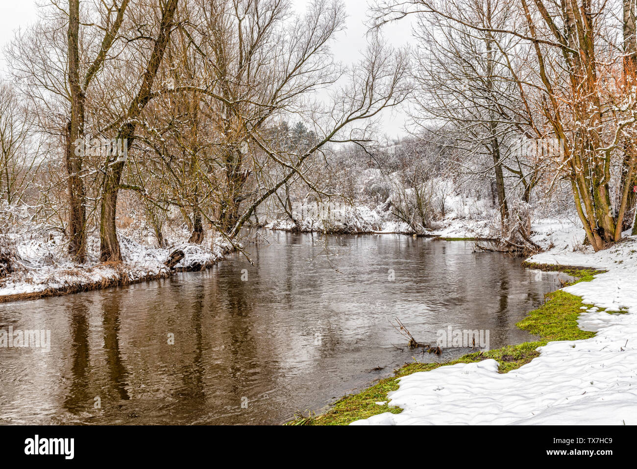 View at beautiful winter landscape in the snowy forest and Warta river in Mstow, Poland, January. Stock Photo