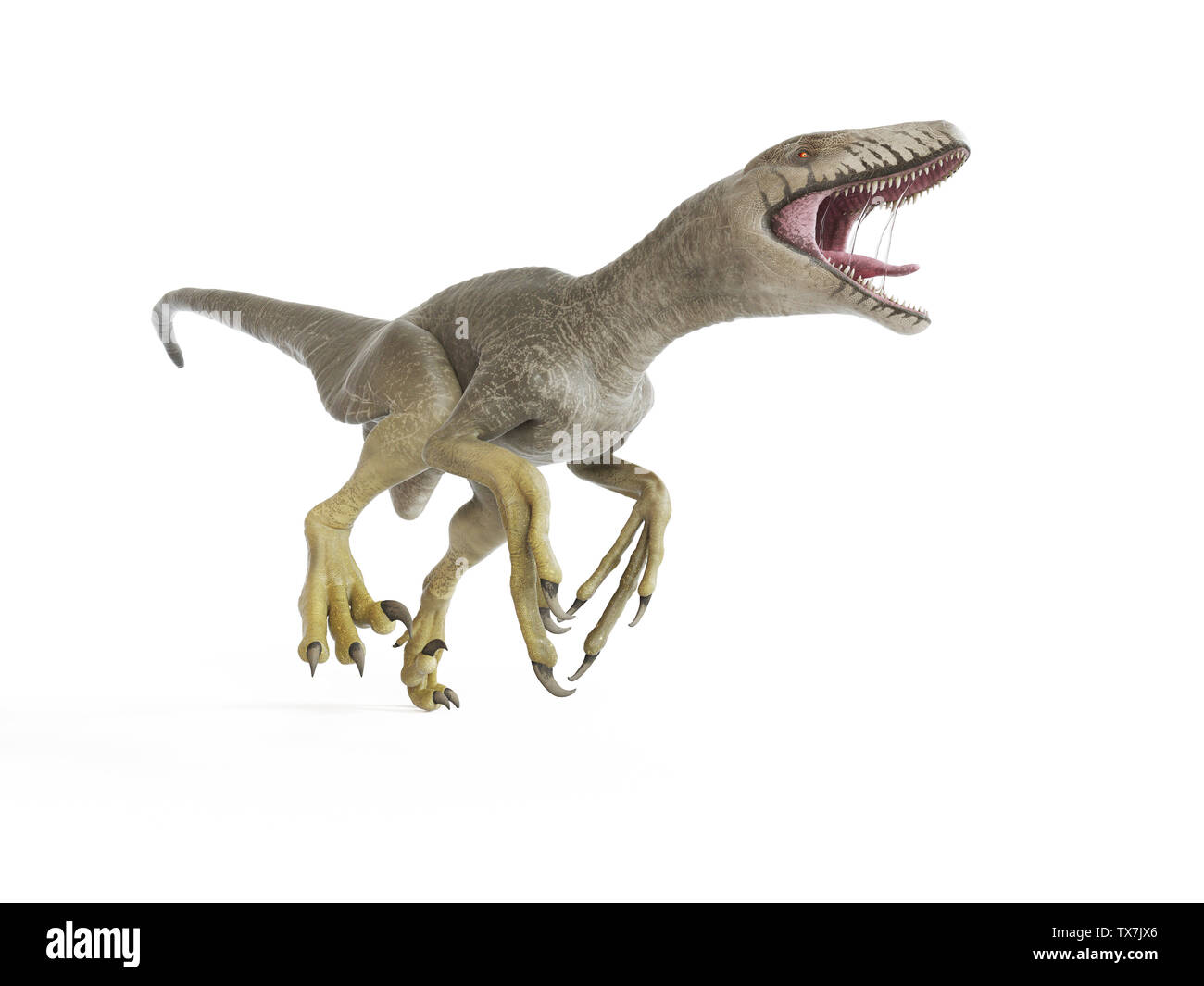 Dakotaraptor hi-res stock photography and images - Alamy