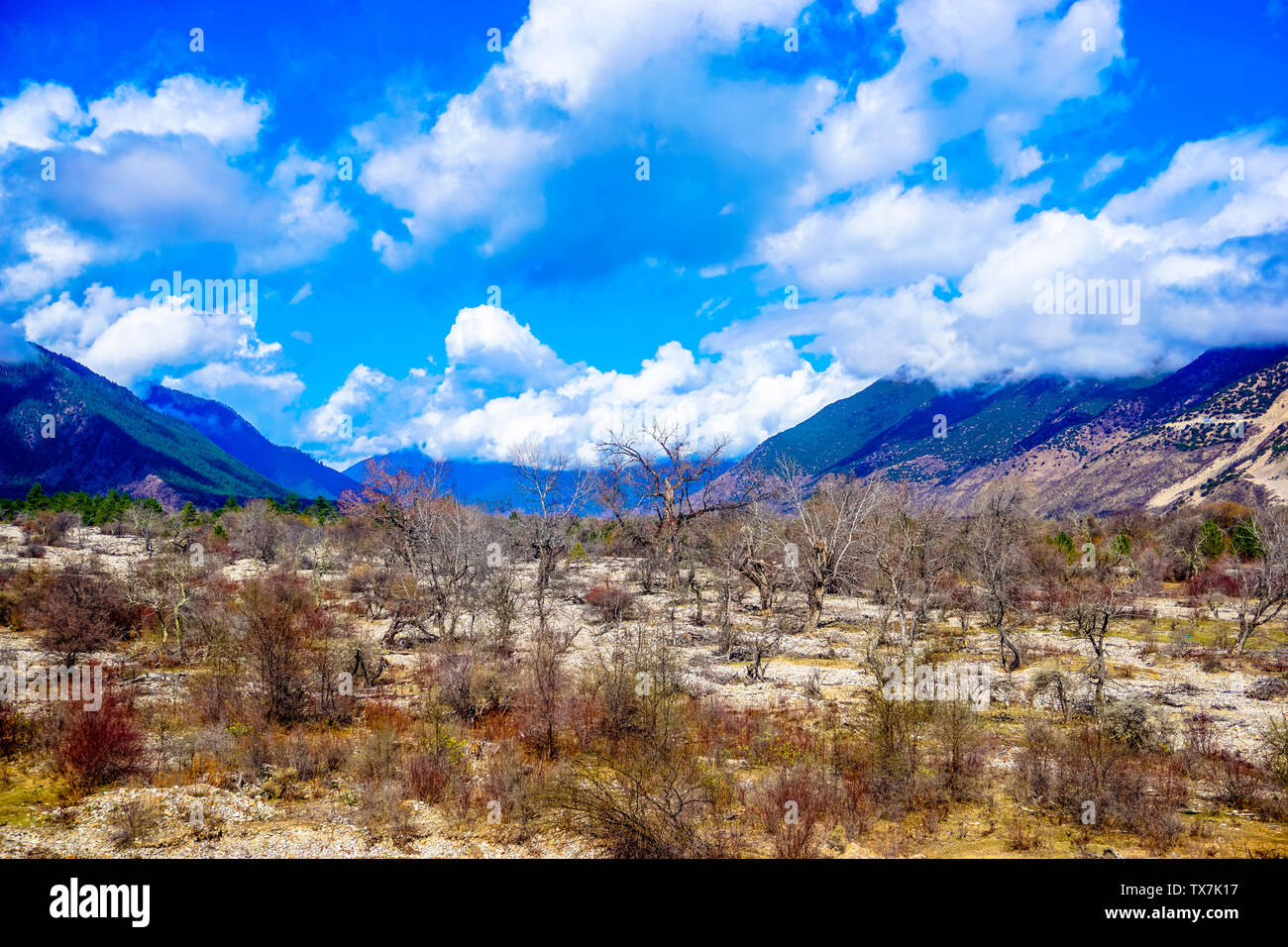 Scenic Wallpaper Of The Gobi River Beach In Yingzhi Tibet