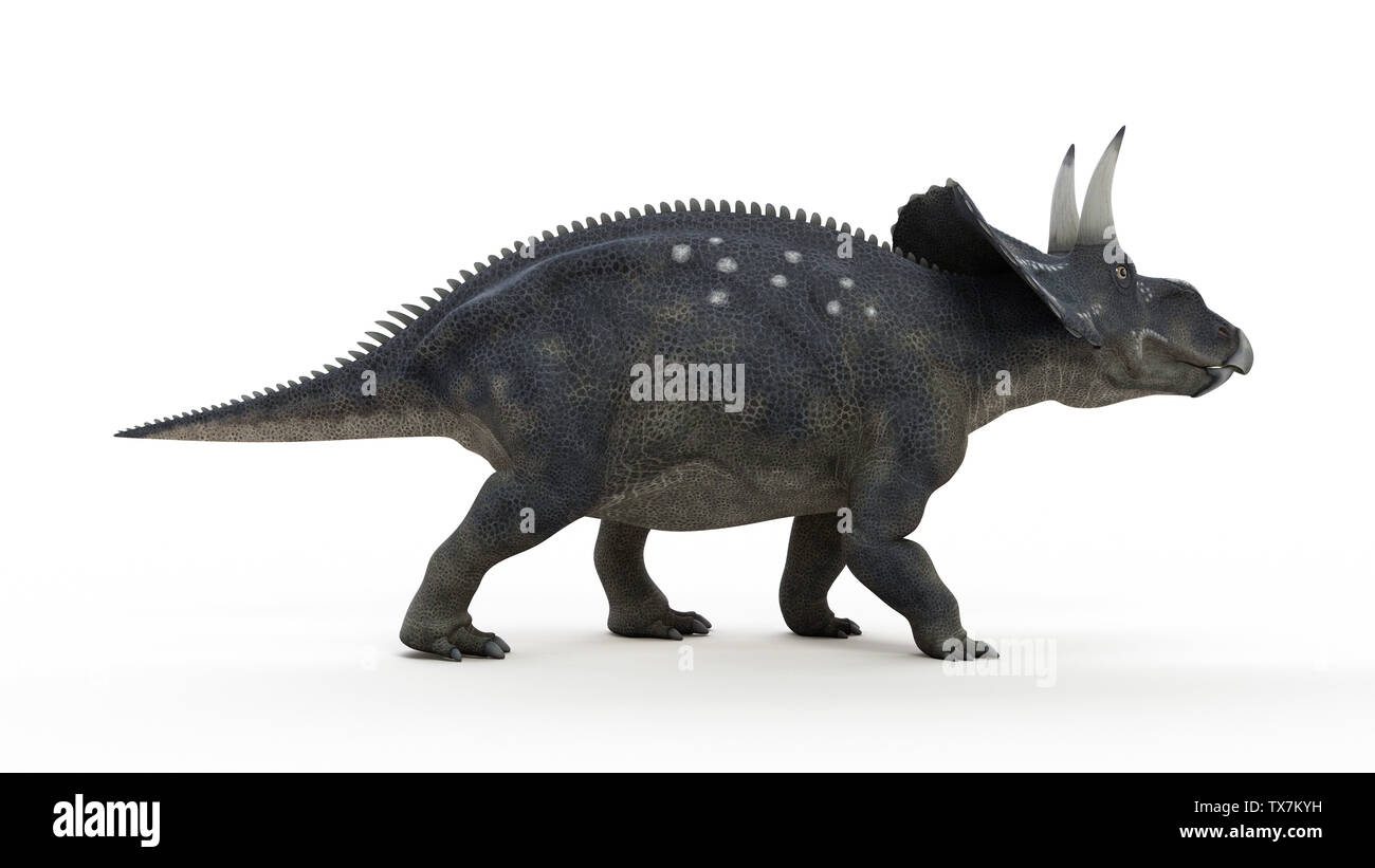 3d rendered illustration of a diceratops Stock Photo
