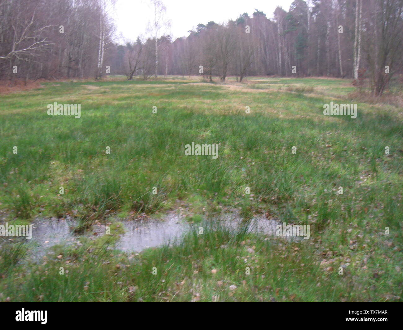 Feuchte hires stock photography and images Alamy