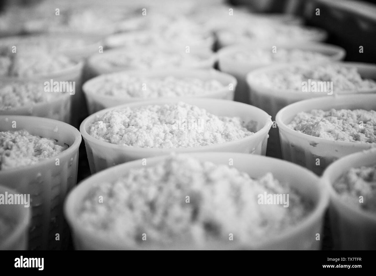 Parmesan cheese making in a small dairy in the Modena hills, ricotta, the bi product of making parmesan Stock Photo