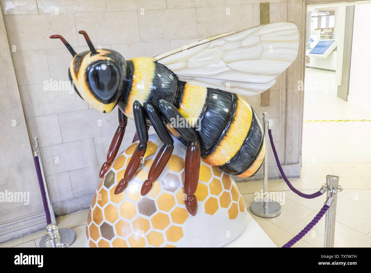 Manchester Bee,Bee,Central Library,Manchester Central Library,Manchester,north,northern,north west,city,England,English,GB,UK,Britain,British,Europe, Stock Photo