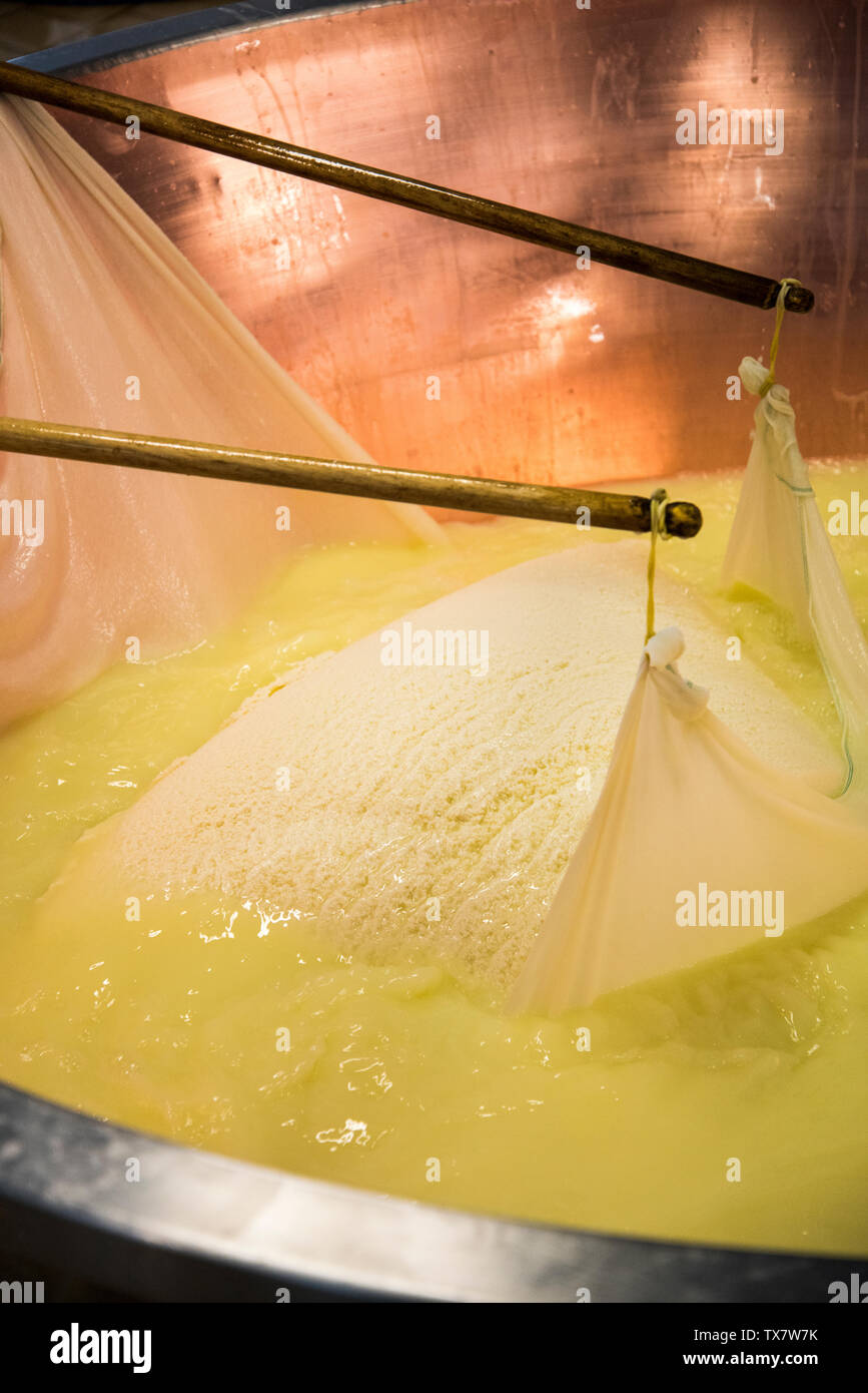Parmesan cheese making in a small dairy in the Modena hills, curds and whey in a copper kettle