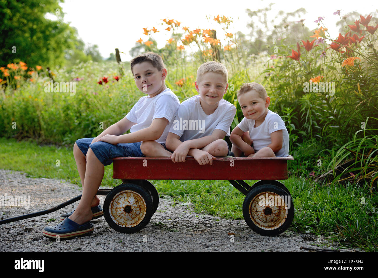 three boy brothers in a rustic red wagon with wildflowers in the background Stock Photo