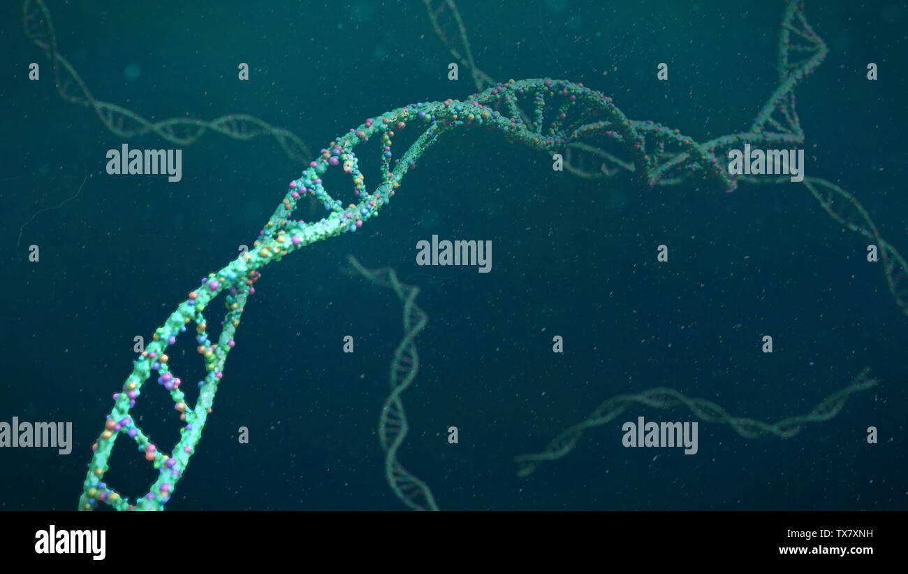DNA structure, molecule concept, double helix carrying genetic instructions (3d science rendering) Stock Photo