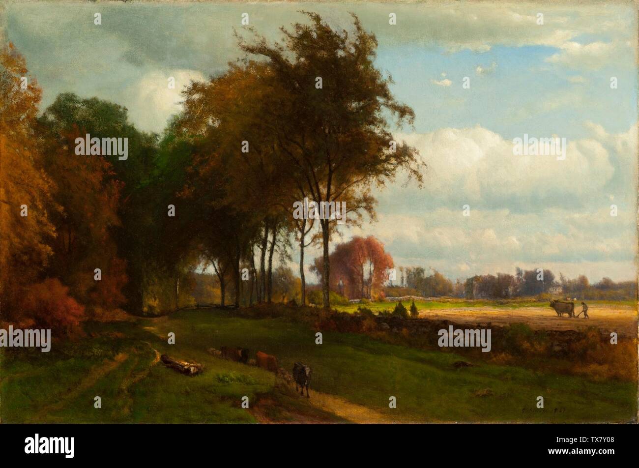 Landscape with Cattle (image 1 of 2);  United States, 1869 Paintings Oil on canvas 20 x 30 in. (50.8 x 76.2 cm) Gift of Dr. and Mrs. Christian Title (M.91.309.2) American Art Currently on public view: Art of the Americas Building, floor 3; 1869date QS:P571,+1869-00-00T00:00:00Z/9; Stock Photo