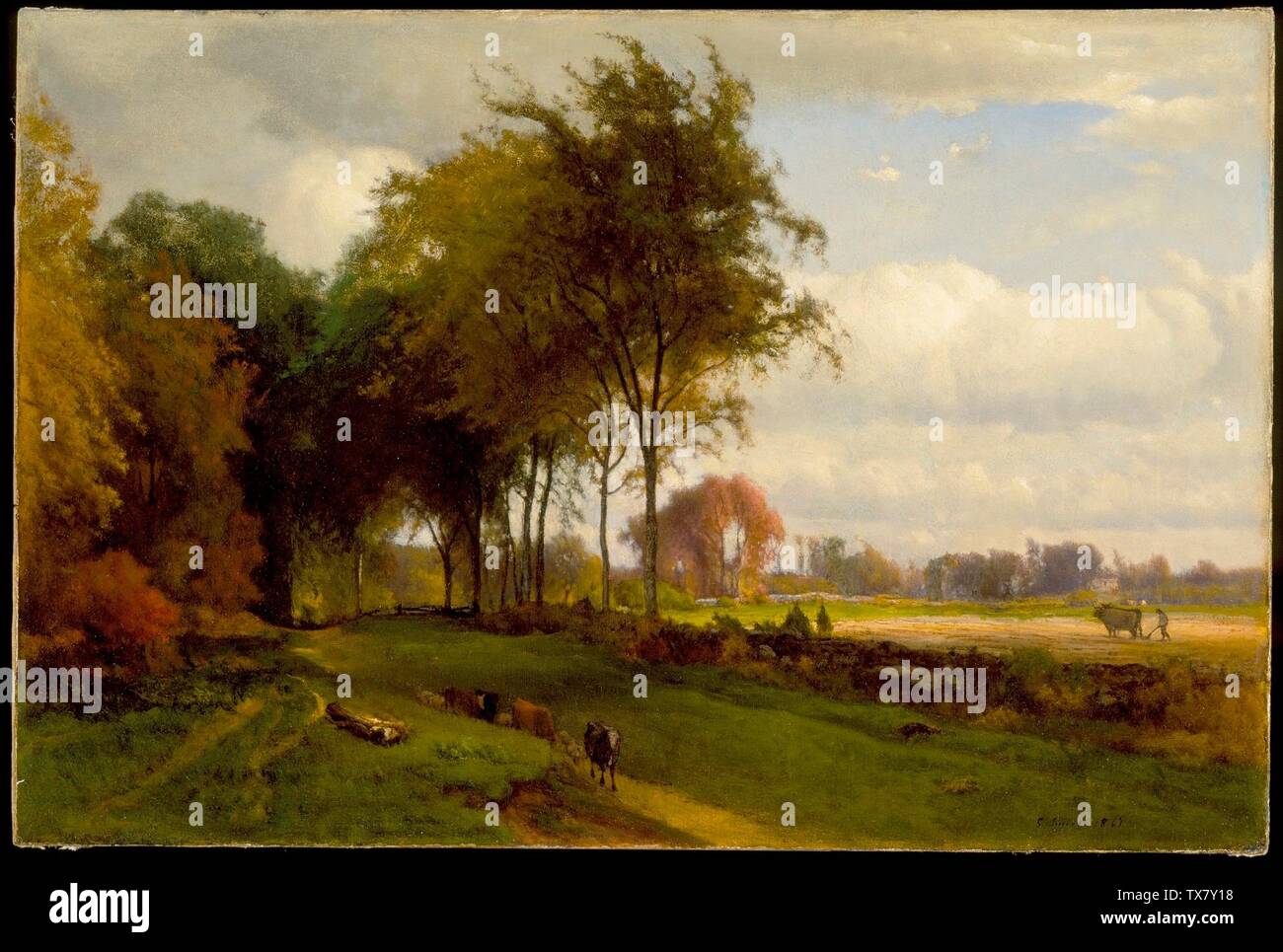 Landscape with Cattle (image 2 of 2);  United States, 1869 Paintings Oil on canvas 20 x 30 in. (50.8 x 76.2 cm) Gift of Dr. and Mrs. Christian Title (M.91.309.2) American Art Currently on public view: Art of the Americas Building, floor 3; 1869date QS:P571,+1869-00-00T00:00:00Z/9; Stock Photo