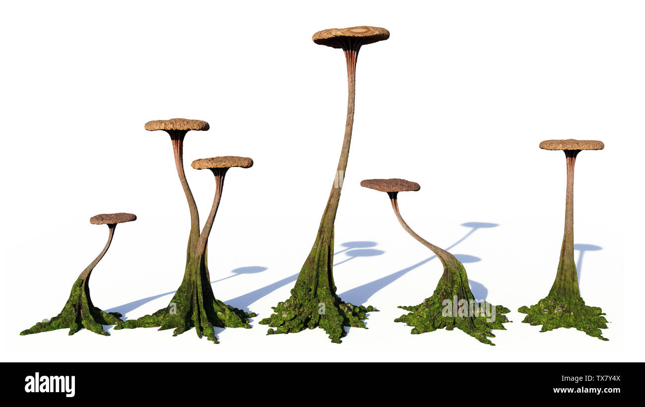 mushrooms, strange alien fungus isolated on white background (3d illustration background) Stock Photo