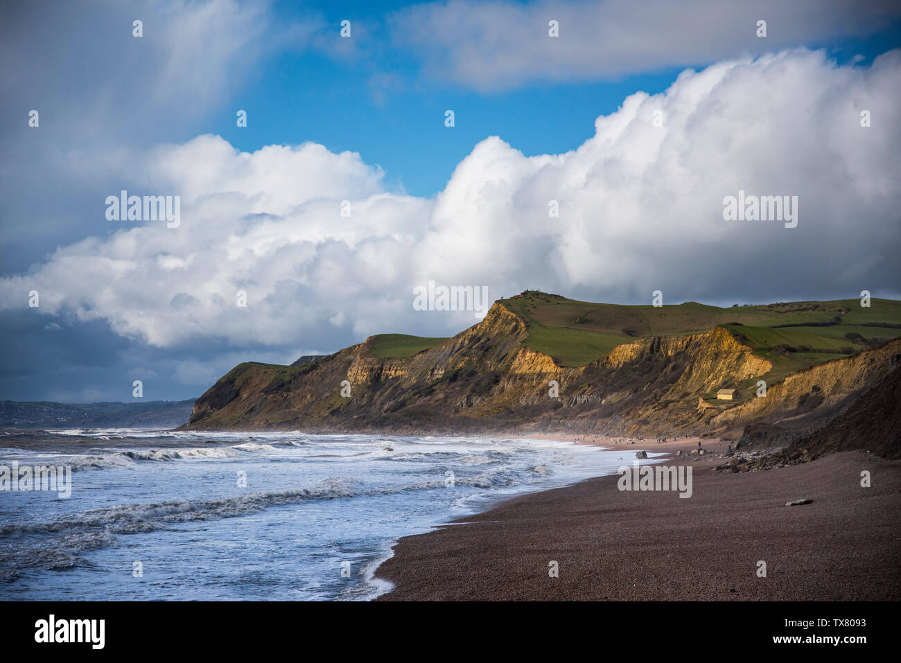 Dorset coast on a bright winter day, looking West towards Lyme bay from Hive beach Stock Photo