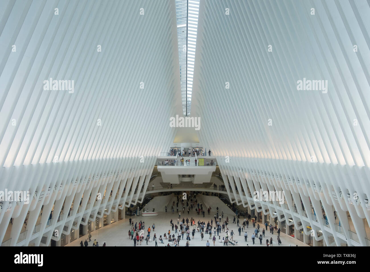 The Oculus Building, Manhattan, New York, USA Stock Photo