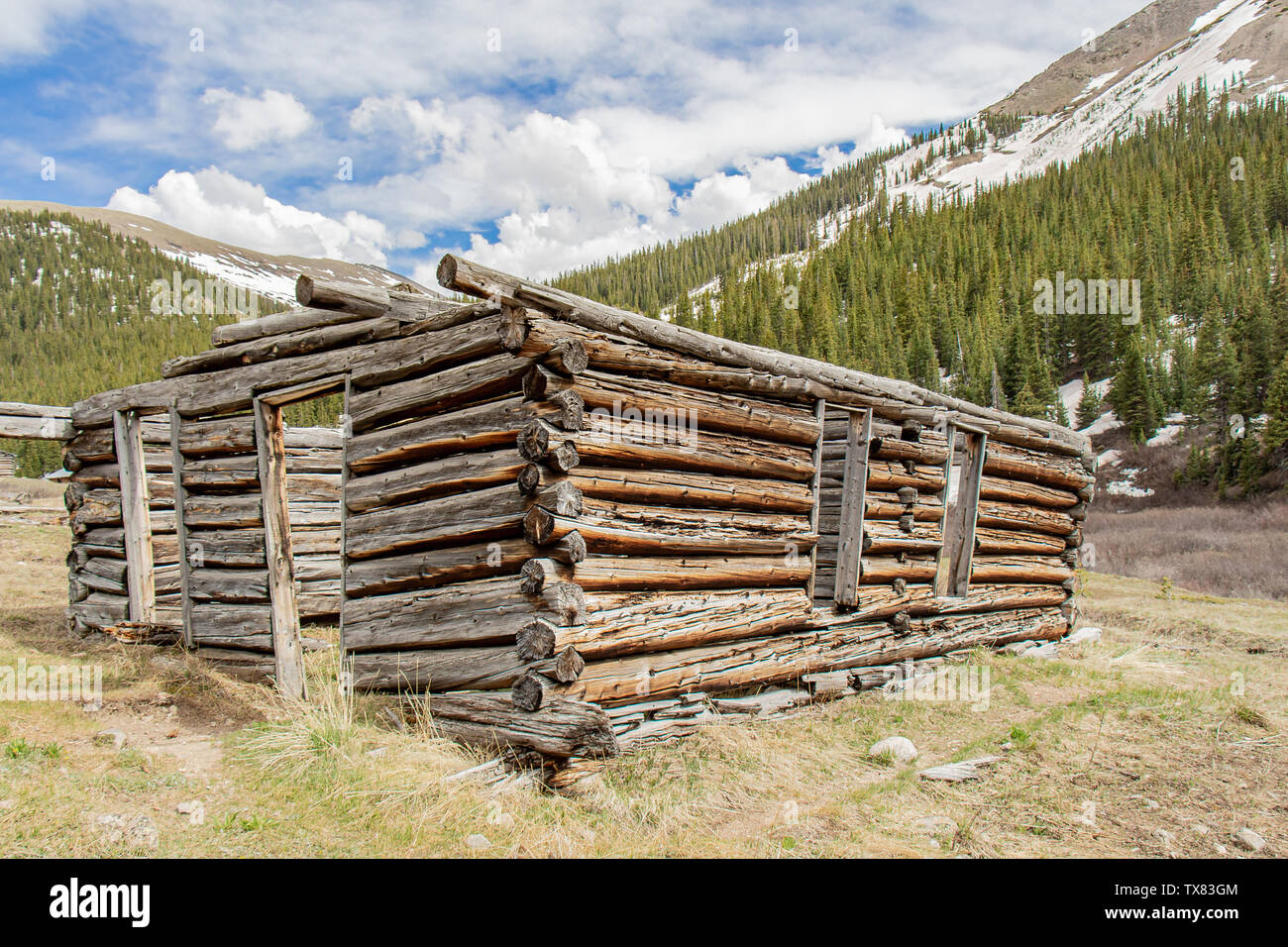 Ruins of a wooden cabin built circa 1882 at the Independence, Colorado mining 'ghost town'. Stock Photo
