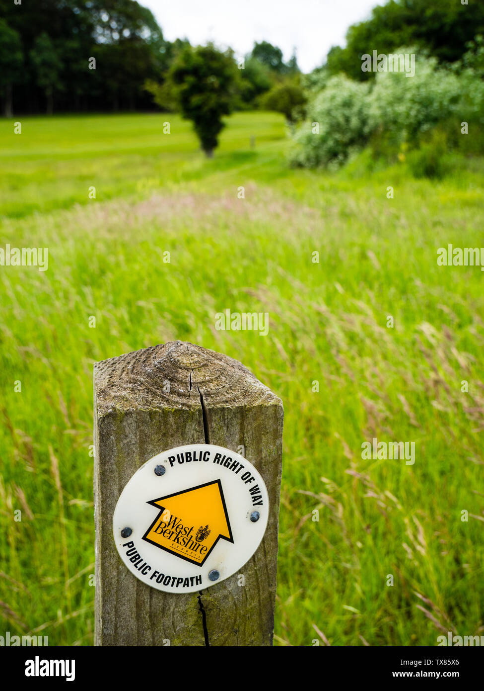 Public Right of Way, Public Footpath Sign, Berkshire Downs, Streatley, Berkshire, England, UK, GB. Stock Photo
