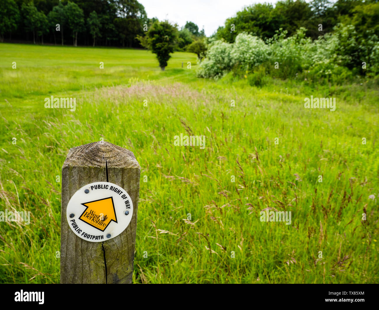 Public Right of Way, Public Footpath Sign, Berkshire Downs, Streatley, Berkshire, England, UK, GB. Stock Photo
