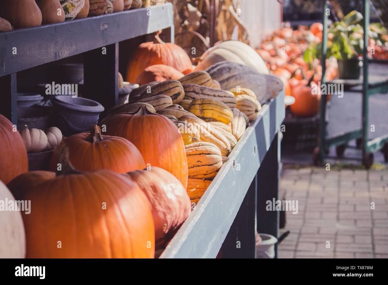 Pumpkins on sale in an outdoor market Stock Photo - Alamy