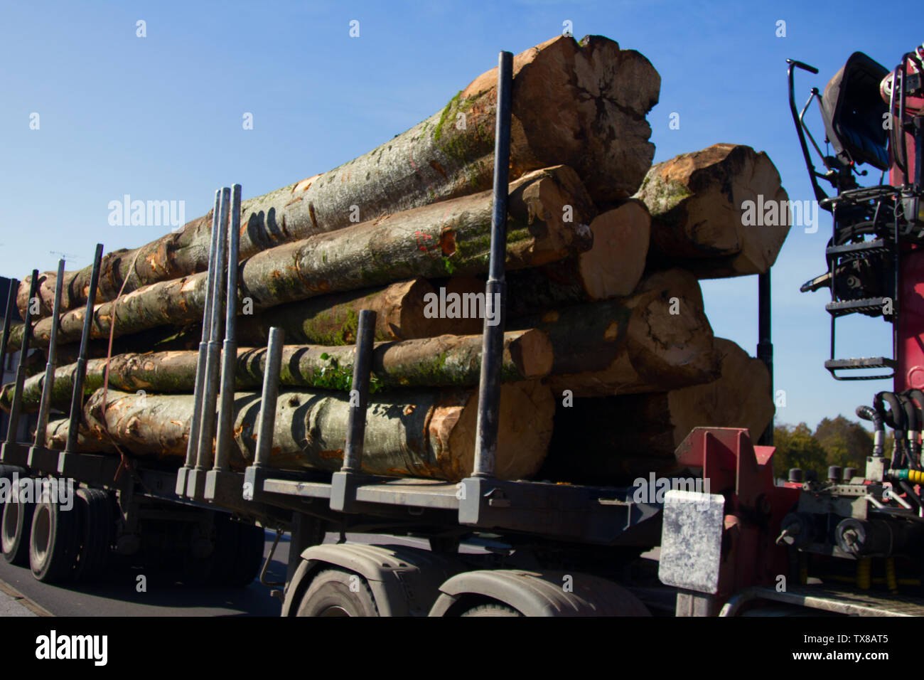 Timber truck with load of tree trunks (billet; roundwood), trailer with