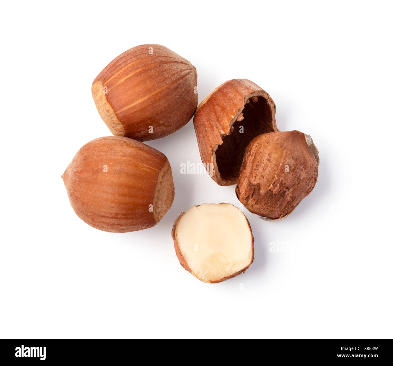 Some shelled hazelnuts with shell , isolated on a white background