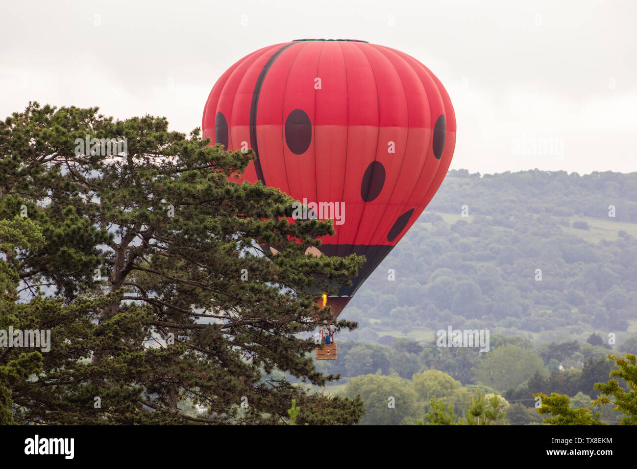 Cheltenham balloon fiesta 2019 Stock Photo Alamy