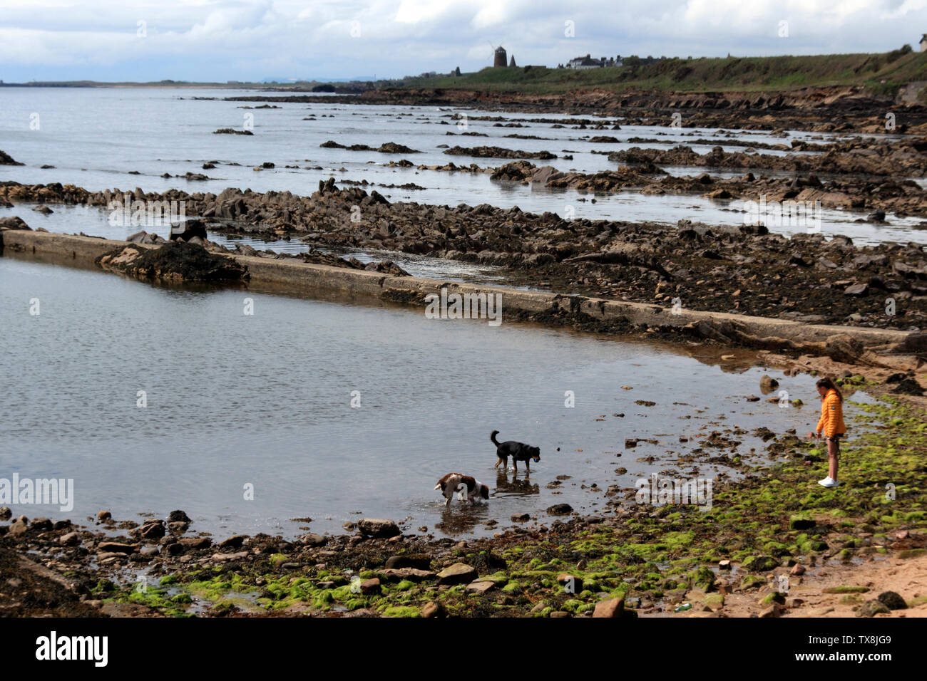 Fife Coastal Path between St Monans and Pittenweem, Scotland, UK Stock