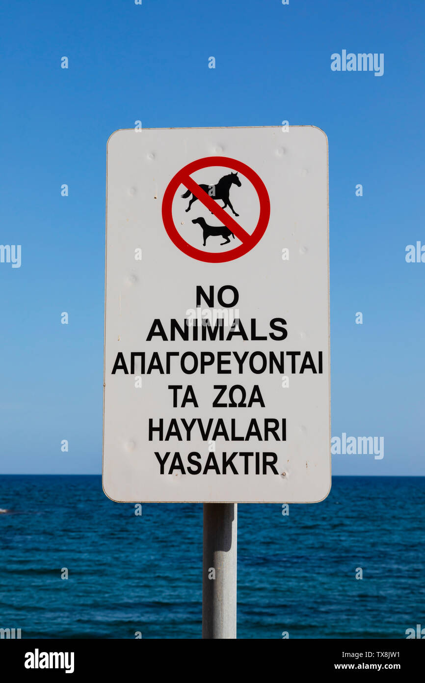 'no animals' Warning sign, Dhekelia Ormedia , Xylotymbou fishing shelter, Cyprus Stock Photo