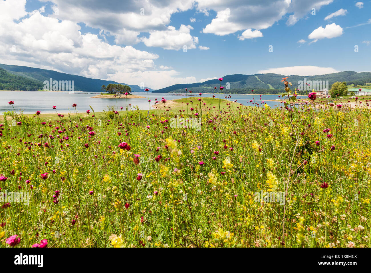 Western Rhodopes Western rhodopes hi-res stock photography and images - Alamy