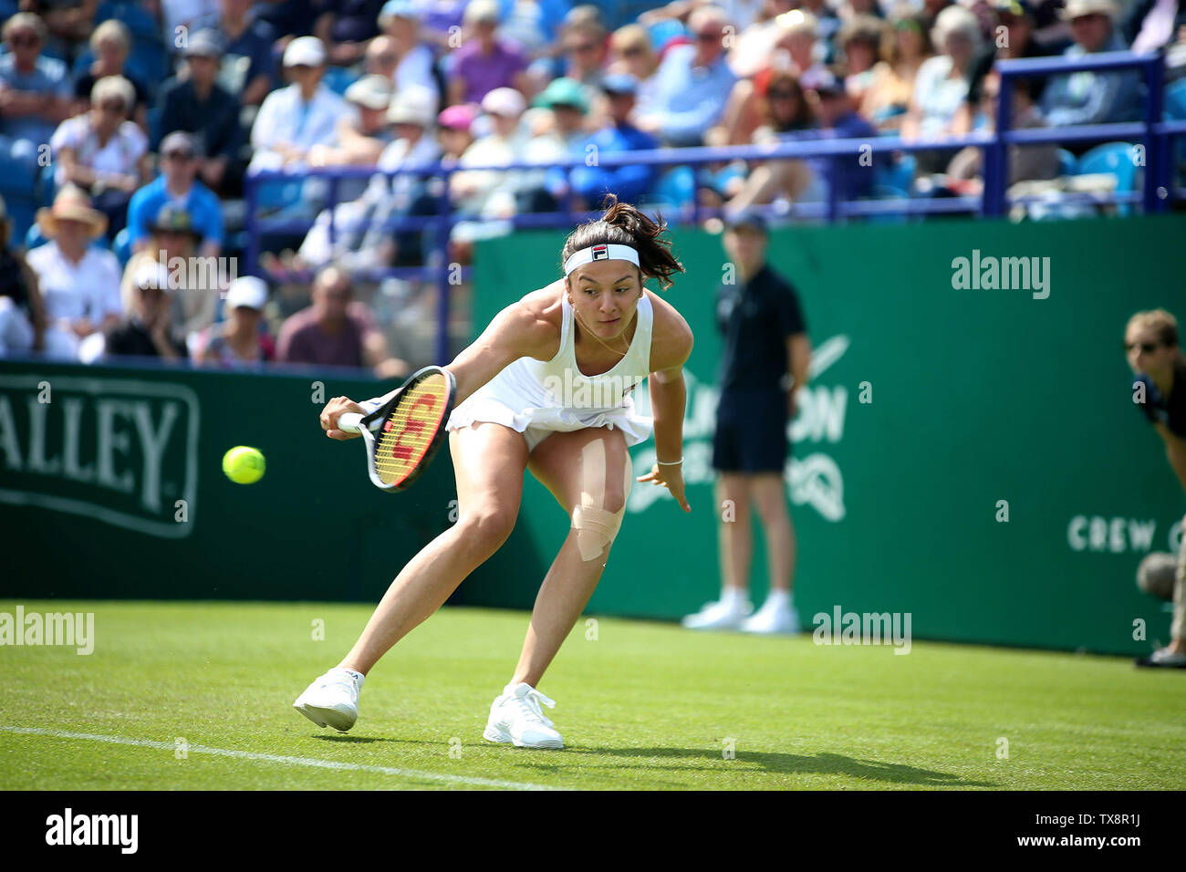 Margarita gasparyan of russia hi-res stock photography and images - Alamy