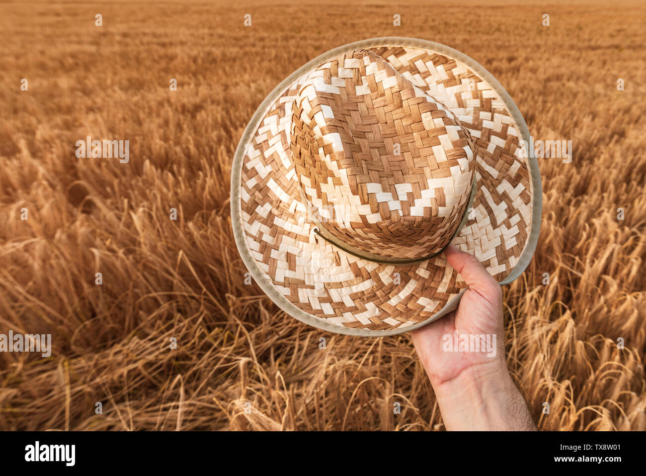 Cheerful satisfied farmer holding straw hat outdoors in fields. Happy