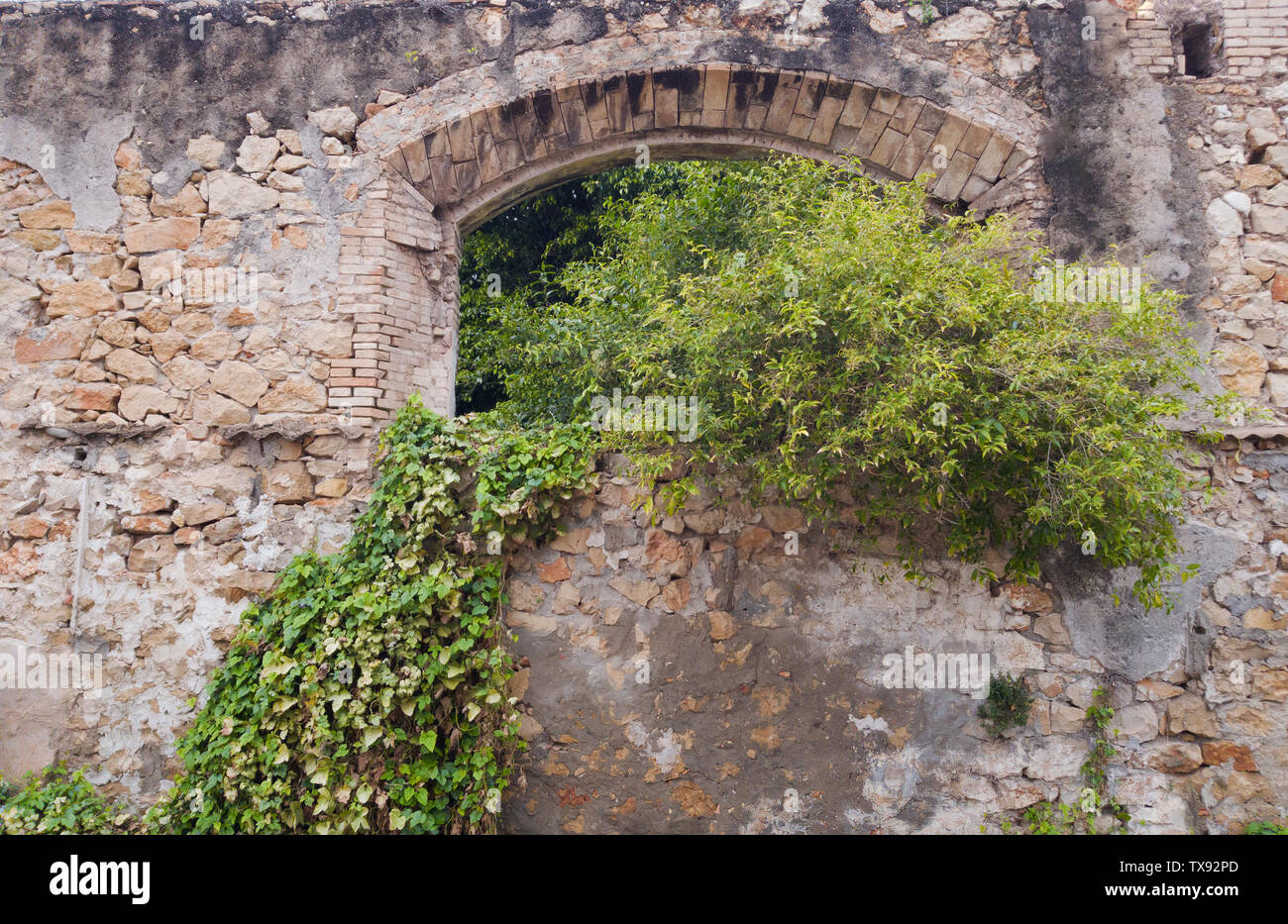 In the old stone wall empty window overgrown with plants Stock Photo ...