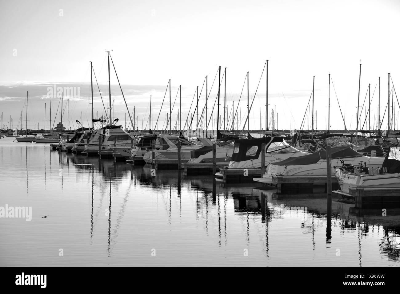 Seas cruise Black and White Stock Photos & Images - Alamy