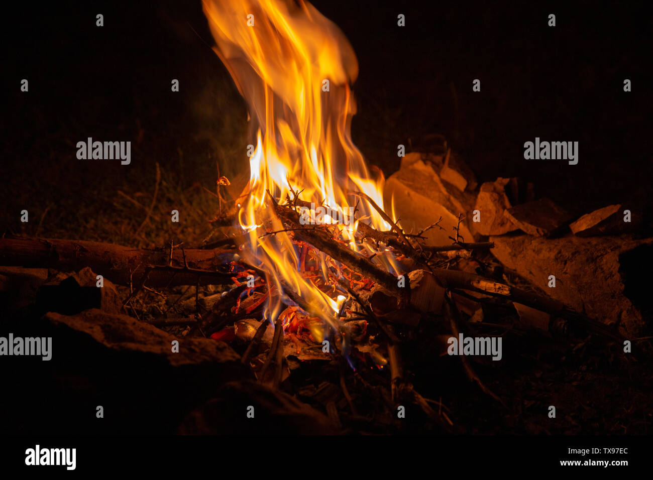 Burning bonfire at night in the forest Stock Photo - Alamy