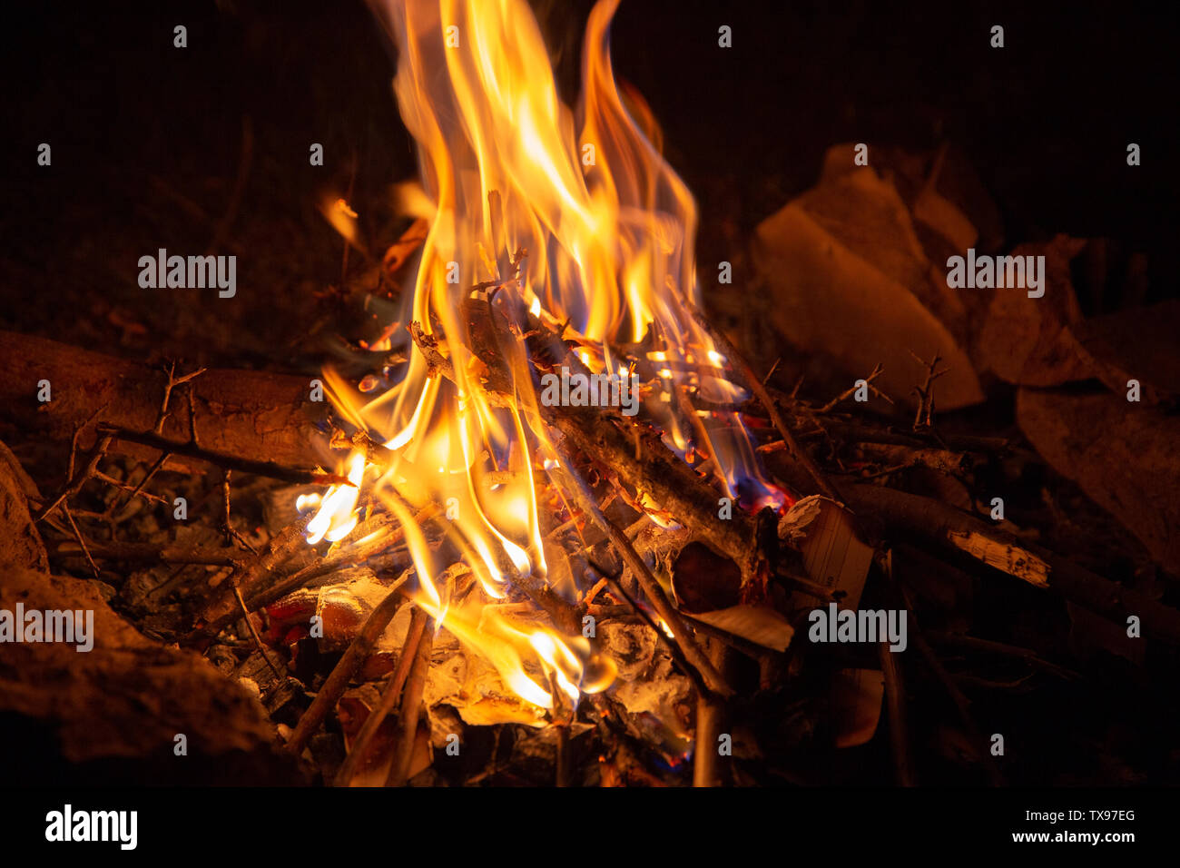 Burning bonfire at night in the forest Stock Photo - Alamy