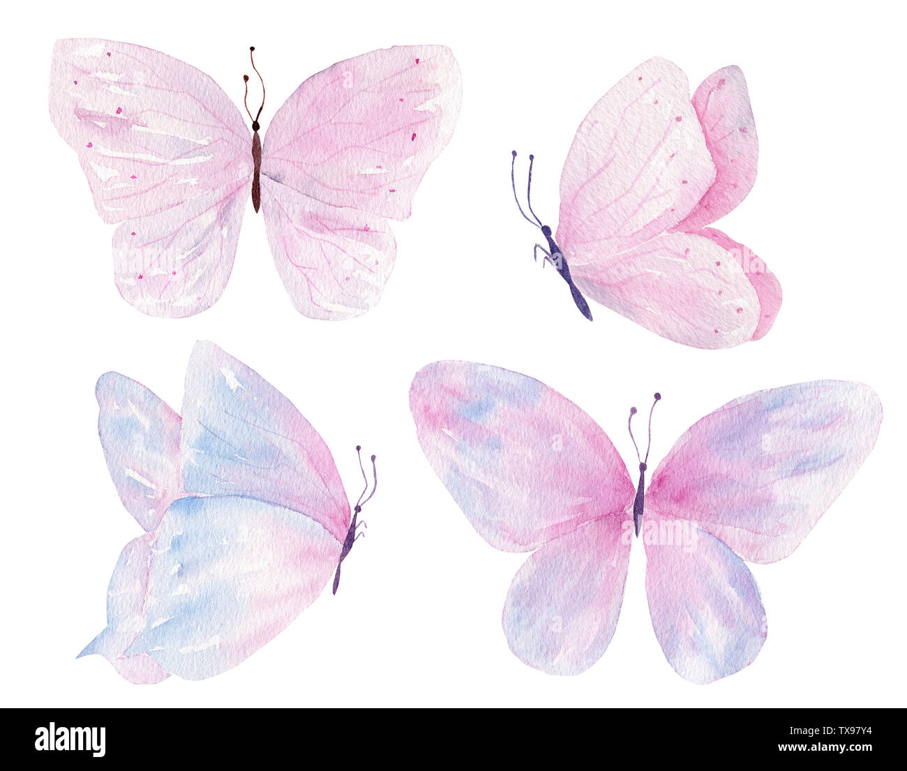 Butterflies hand drawn watercolor raster illustrations set. Beautiful wings  isolated pack. Flying gentle insect. Pastel animal aquarelle drawing. Summ  Stock Photo - Alamy