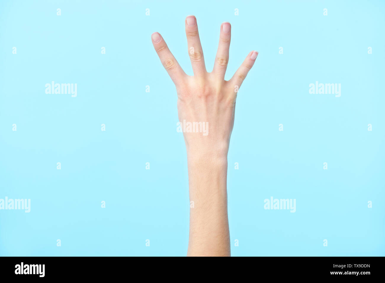 human hand showing number four, isolated on blue background Stock Photo