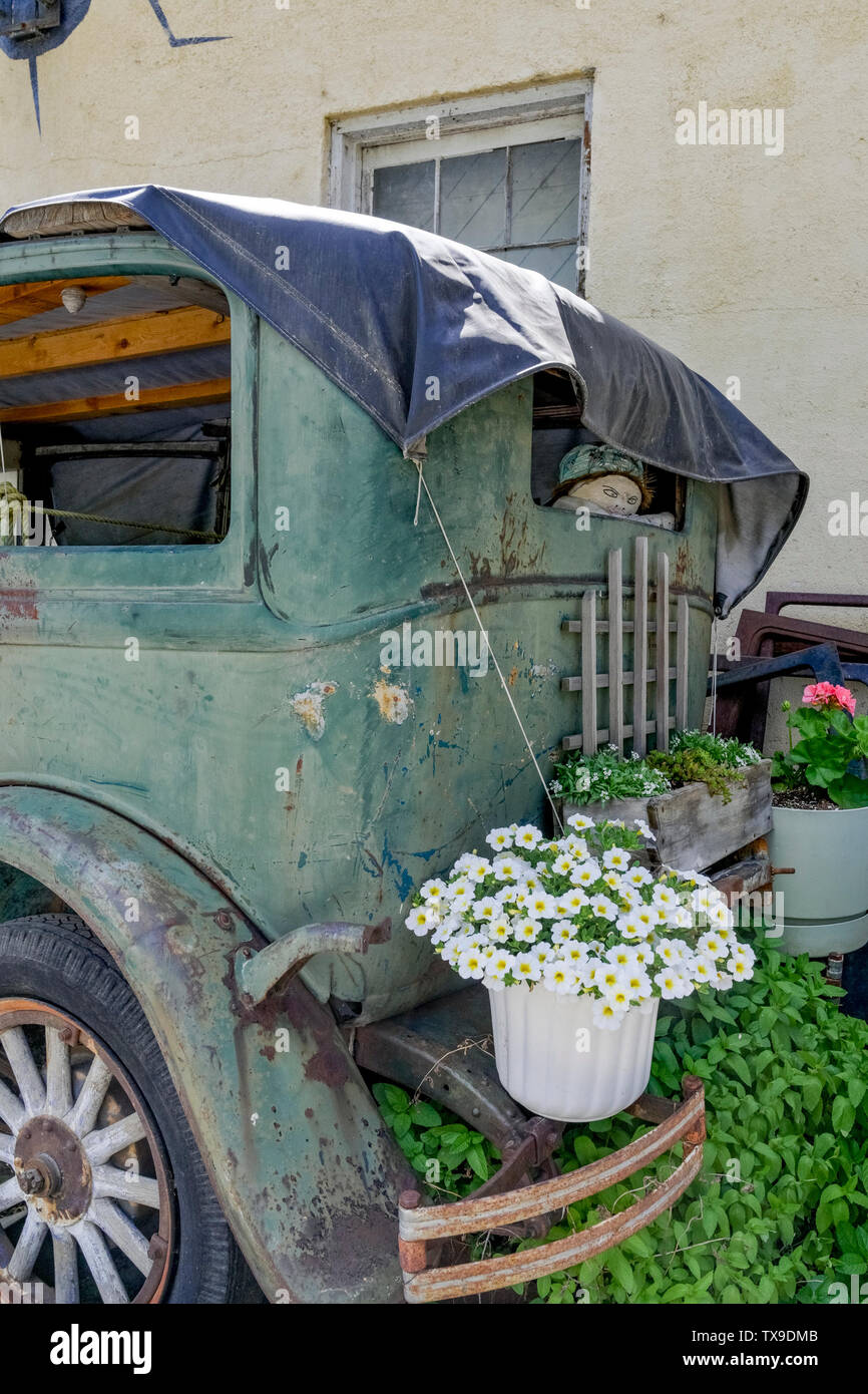 Old jalopy car with flowers, Hedley, British Columbia, Canada Stock Photo