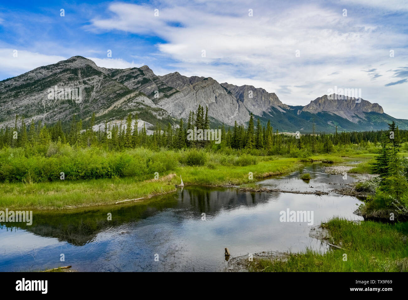 Bow Valley Provincial Park, Alberta, Canada Stock Photo Alamy