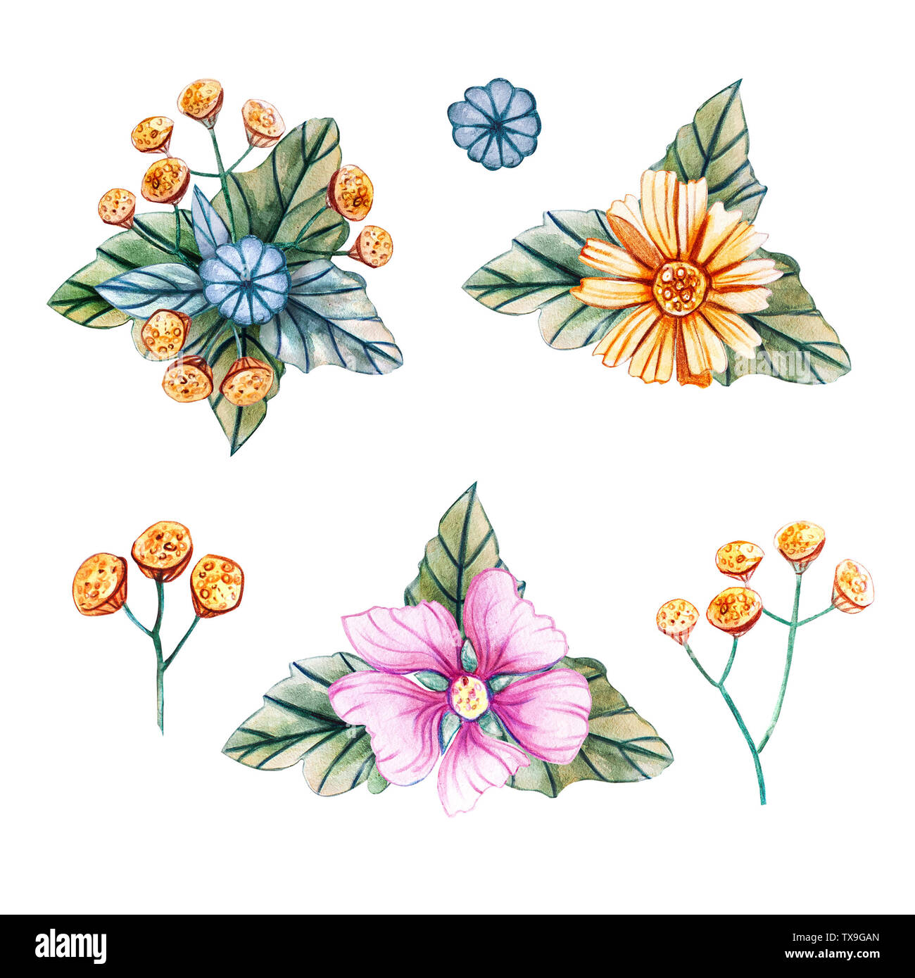 Hand-drawn bouquets of wildflowers. Watercolor summer set of illustrations with mallow, tansy, and chamomile. Template for greeting cards, fabrics, we Stock Photo